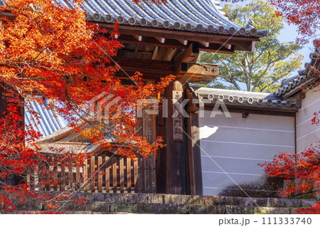 秋の京都 曼殊院 紅葉に包まれた勅使門 秋の京都 曼殊院 紅葉に包まれた勅使門 111333740