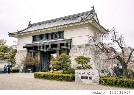岡崎市、岡崎城の大手門と枝垂れ桜 岡崎市、岡崎城の大手門と枝垂れ桜 111333914