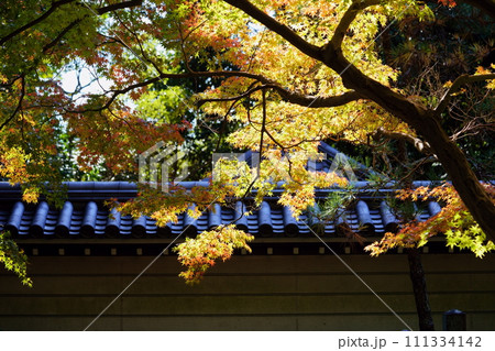 奈良のお寺・秋の秋篠寺の名物参道の紅葉 111334142