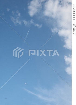 青空に月と飛行機雲と鳥 青空に月と飛行機雲と鳥 111334593