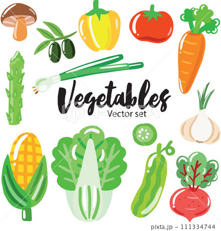 Vegetables hand draw vector set  111334744