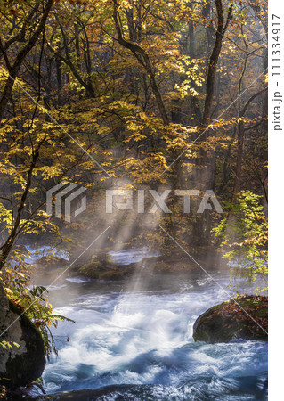 青森 奥入瀬渓流の光芒07 111334917