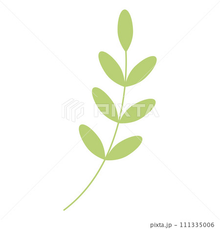 Green twig with leaves. Vector illustration isolated on white background 111335006