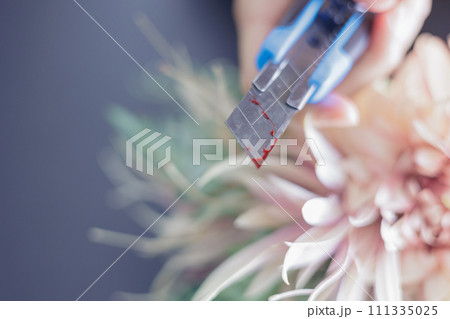血の付いたカッターを持つ女性の手と花束 血の付いたカッターを持つ女性の手と花束 111335025