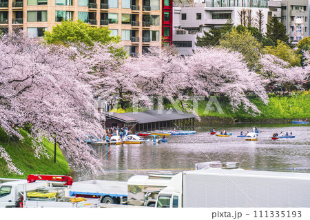 春の千鳥ヶ淵 満開の桜 お堀を横切る首都高都心環状線【東京都・千代田区】 春の千鳥ヶ淵 満開の桜 お堀を横切る首都高都心環状線【東京都・千代田区】 111335193