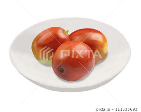 なつめ（生果）皿付き 111335693