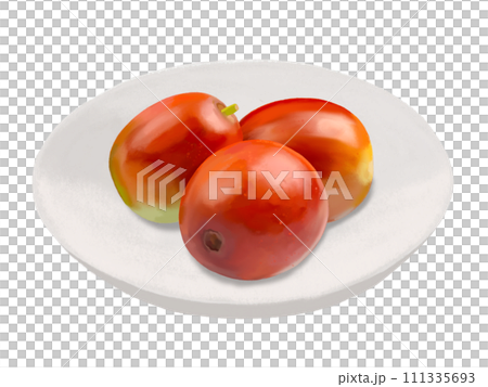 なつめ（生果）皿付き 111335693