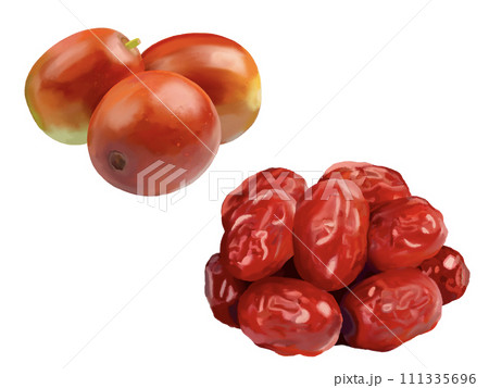 なつめ（生果と乾果） 111335696