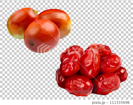 なつめ（生果と乾果） 111335696