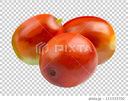 Jujube (fresh fruit) 111335702