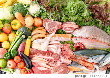 肉　野菜　魚　集合 111335704