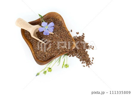 Flax (linseed) flower and seeds over white background 111335809