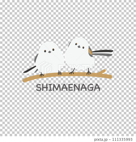 2羽のよりそうシマエナガのイラスト 2羽のよりそうシマエナガのイラスト 111335993