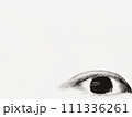 ホラーイメージ:瞳 111336261