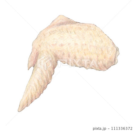 鶏肉(手羽先)水彩色鉛筆イラスト 鶏肉(手羽先)水彩色鉛筆イラスト 111336372