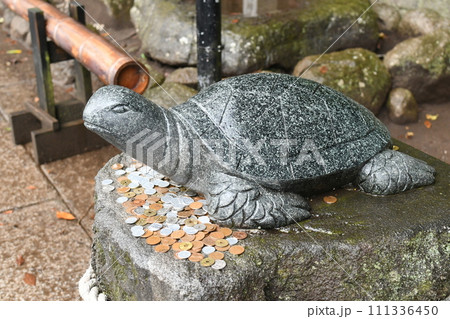 幸運の亀の石像 幸運の亀の石像 111336450
