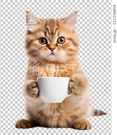 Joyful cat with a cup of coffee 111336604
