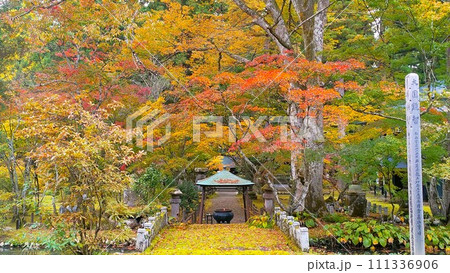 紅葉の金城山雲洞庵 紅葉の金城山雲洞庵 111336906