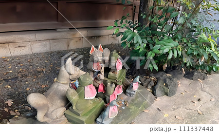 鉄砲洲稲荷神社 参道 神社 稲荷神社 狐　キツネ 111337448