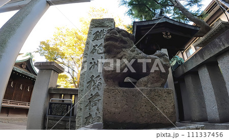 狛犬 鉄砲洲稲荷神社 社殿 千木 木造 拝殿 狛犬 鉄砲洲稲荷神社 社殿 千木 木造 拝殿 111337456