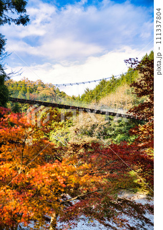 紅葉の名所　岐阜　多良峡森林公園 111337804