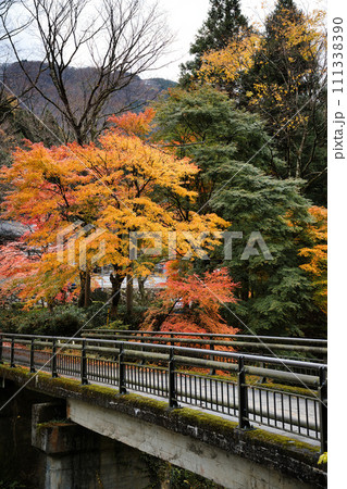岐阜で出会えた素敵な秋景色 111338390