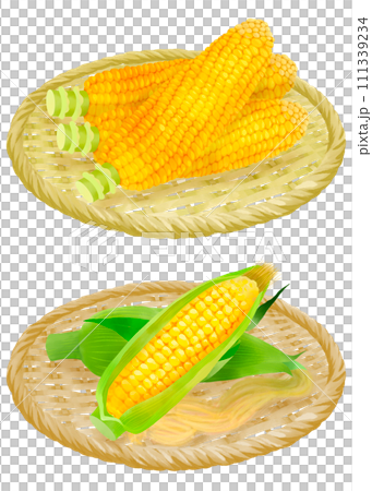 ザルにのったトウモロコシのイラストセット 111339234