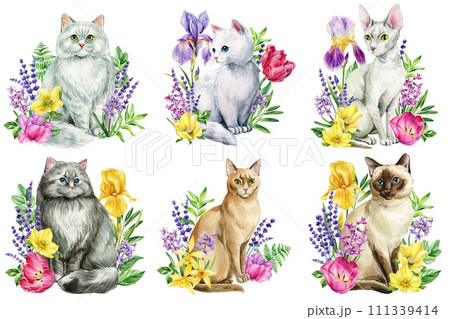 Cute cats watercolor illustration. Watercolor hand drawn cat, spring bouquet flowers, leaves for design, poster, cards Cute cats watercolor illustration. Watercolor hand drawn cat, spring bouquet flowers, leaves for design, poster, cards 111339414
