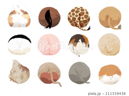動物のお尻イラストセット 111339436