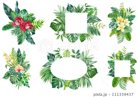 Beautiful Tropical flower leaf illustration. Luxury botanical clipart, Organic plant botanical for banner, poster, cards Beautiful Tropical flower leaf illustration. Luxury botanical clipart, Organic plant botanical for banner, poster, cards 111339437