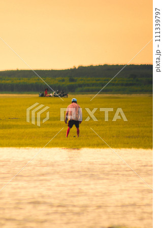 A farmer is walking in the fields. An old man is walking in the swamp. A farmer is walking in the fields. An old man is walking in the swamp. 111339797