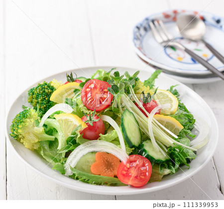 季節のお野菜たっぷり 野菜サラダ お塩とオリーブオイルでさっぱりと 111339953