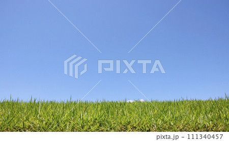 芝生と空 111340457
