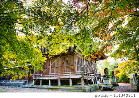 岐阜　長彦神社の紅葉 111340511