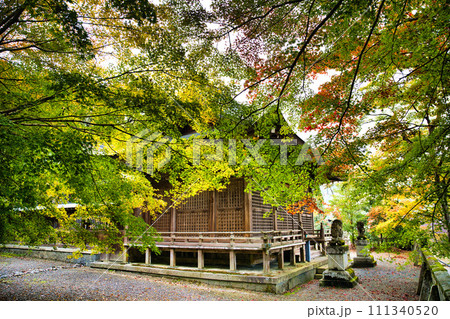 岐阜　長彦神社の紅葉 111340520