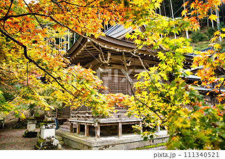 岐阜　長彦神社の紅葉 111340521