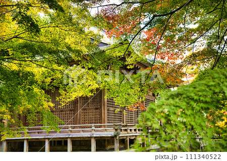 岐阜 長彦神社の紅葉 岐阜 長彦神社の紅葉 111340522
