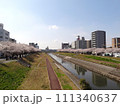 桜並木 111340637