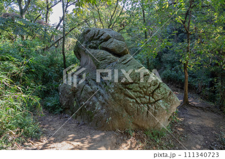 六甲山の蛙岩（兵庫県神戸市） 111340723