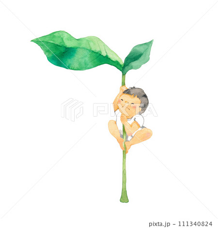 大きな葉によじ登る子ども 111340824