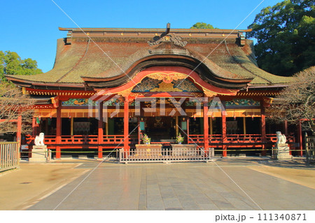 太宰府天満宮（太宰府市） 111340871