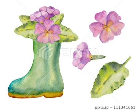 Hand drawn watercolor illustration spring gardening shoes, green rubber boots with flowers and leaves. Composition isolated on white background. Design print, shop, scrapbooking, packaging, decoupage Hand drawn watercolor illustration spring gardening shoes, green rubber boots with flowers and leaves. Composition isolated on white background. Design print, shop, scrapbooking, packaging, decoupage 111341663