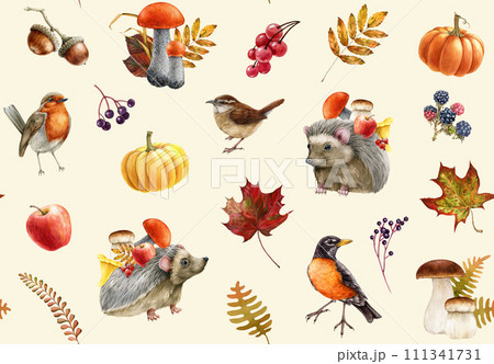 Autumn season decor seamless pattern. Watercolor painted illustration. Hedgehog, backyard birds, forest mushrooms, berries, fallen leaves seamless pattern. Autumn cozy decor in warm colors 111341731
