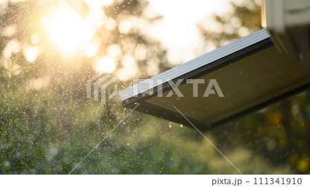 Small solar panels in corn field with sunlight on background. Renewable energy and agriculture concept Small solar panels in corn field with sunlight on background. Renewable energy and agriculture concept 111341910