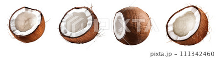 Coconut vector set isolated on white background 111342460