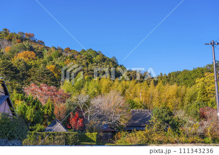秋の京都　嵯峨鳥居本の伝統的な町並み 111343236