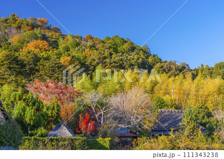 秋の京都　嵯峨鳥居本の伝統的な町並み 111343238