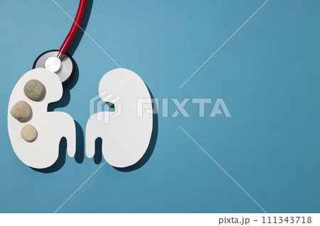 Health care concept, kidneys on a blue background. 111343718