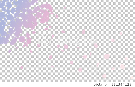 Illustration of a gradation silhouette background of cherry blossoms with falling petals (purple) 111344123