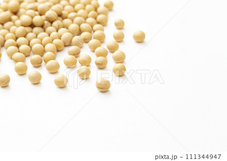 白背景に大豆 白背景に大豆 111344947